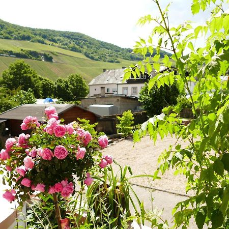 Apartamento Ines Trittenheim Exterior foto
