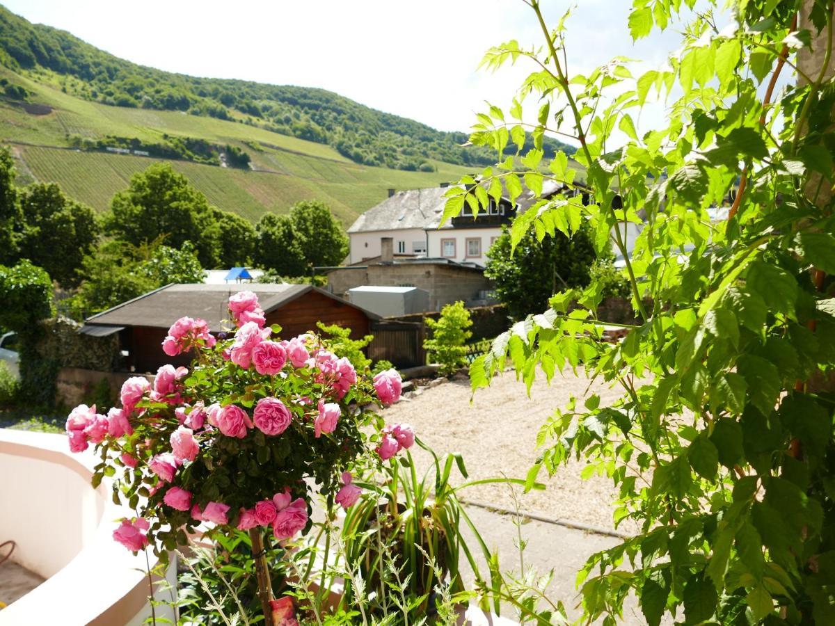 Apartamento Ines Trittenheim Exterior foto